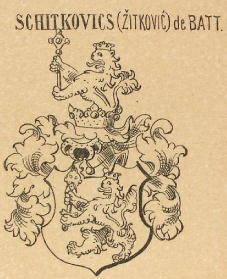 Schitkovics Coat of Arms / Family Crest 0
