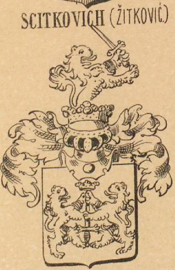 Scitkovich Coat of Arms / Family Crest 0