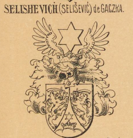 Selishevich Coat of Arms / Family Crest 0