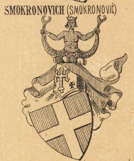 Smokronovich Coat of Arms / Family Crest 0