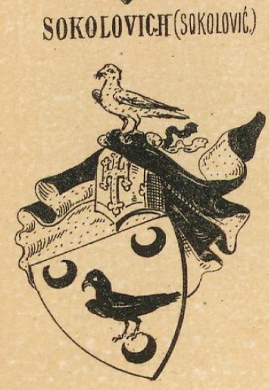 Sokolovich Coat of Arms / Family Crest 0