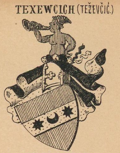 Texewcich Coat of Arms / Family Crest 0