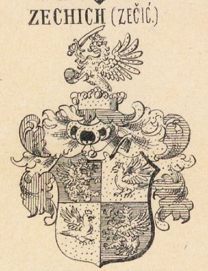 Zechich Coat of Arms / Family Crest 0