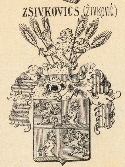 Zsivkovics Coat of Arms / Family Crest 0