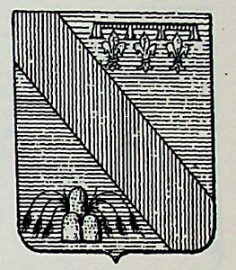 Biadi Coat of Arms / Family Crest 0