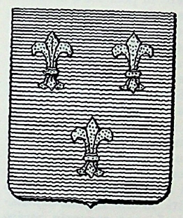 Borbone Coat of Arms / Family Crest 0