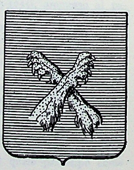 Brancadoro Coat of Arms / Family Crest 0