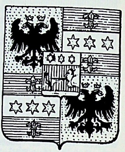 Braschi Coat of Arms / Family Crest 0