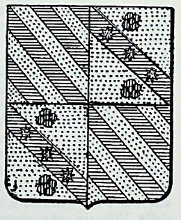 Broccardi Coat of Arms / Family Crest 0