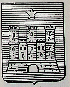 Castelnovo Coat of Arms / Family Crest 0