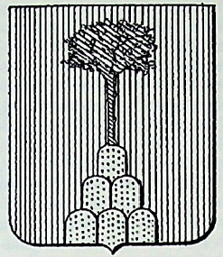 Cittadella Coat of Arms / Family Crest 1