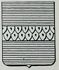 Colle Coat of Arms / Family Crest 0