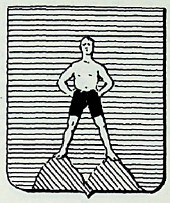 Colussi Coat of Arms / Family Crest 0