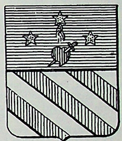 Costantini Coat of Arms / Family Crest 0