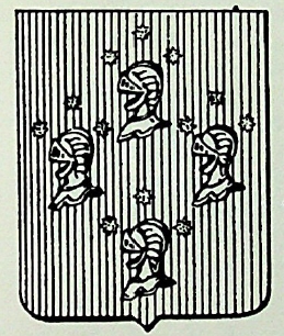 Elmi Coat of Arms / Family Crest 0