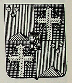 Festi Coat of Arms / Family Crest 0