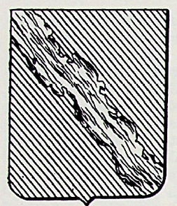 Fiumi Coat of Arms / Family Crest 0