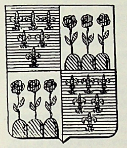 Floridi Coat of Arms / Family Crest 0