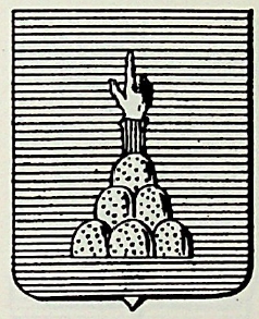 Franceschi Coat of Arms / Family Crest 0