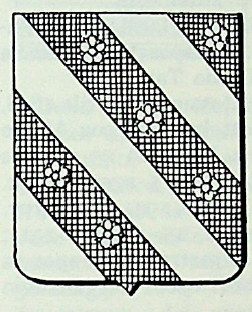 Maino Coat of Arms / Family Crest 1