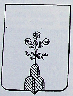 Mazzoccolo Coat of Arms / Family Crest 0