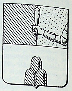 Mazzoleni Coat of Arms / Family Crest 0