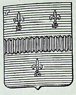 Mojana Coat of Arms / Family Crest 0