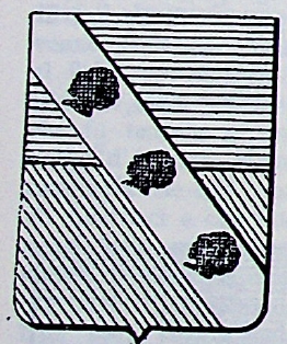 Negri Coat of Arms / Family Crest 10