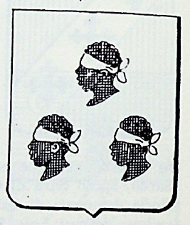 Negri Coat of Arms / Family Crest 5