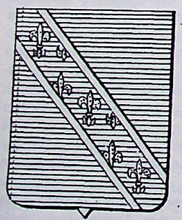 Nobili Coat of Arms / Family Crest 0