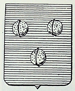 Nussi Coat of Arms / Family Crest 0