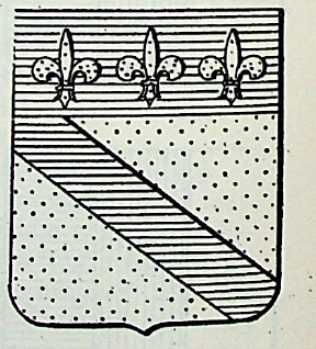 Pasi Coat of Arms / Family Crest 0