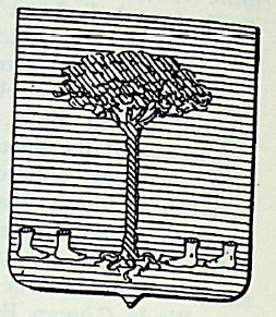 Pes Coat of Arms / Family Crest 0