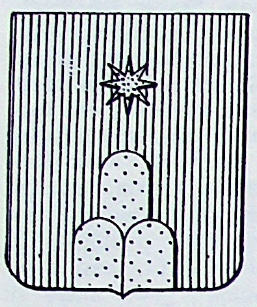 Savini Coat of Arms / Family Crest 2