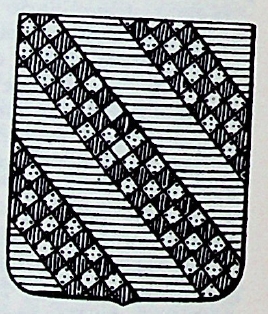 Solaro Coat of Arms / Family Crest 1