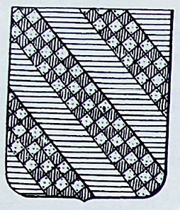 Solaro Coat of Arms / Family Crest 0