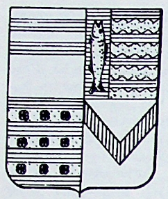 Soldani Coat of Arms / Family Crest 0