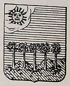 Solinas Coat of Arms / Family Crest 0