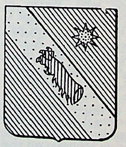 Speciale Coat of Arms / Family Crest 0