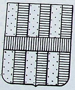 Trevisan Coat of Arms / Family Crest 0