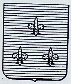 Tufo Coat of Arms / Family Crest 0