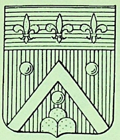 Baldoni Coat of Arms / Family Crest 1