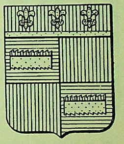 Ciotti Coat of Arms / Family Crest 1