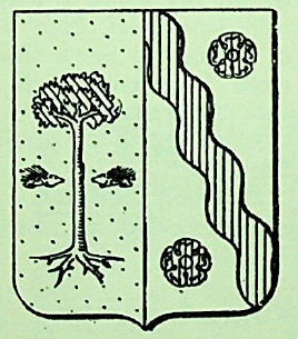 Cittadella Coat of Arms / Family Crest 2