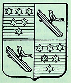 Stefanini Coat of Arms / Family Crest 0
