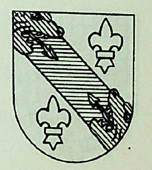 Casains Coat of Arms / Family Crest 0