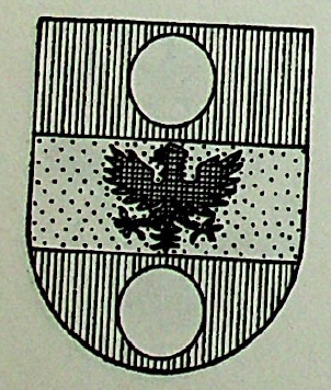 Florin Coat of Arms / Family Crest 0