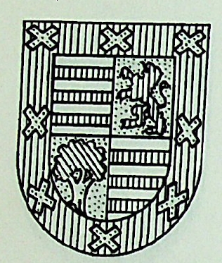 Folgoso Coat of Arms / Family Crest 0