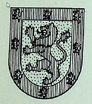 Fonsasoro Coat of Arms / Family Crest 0