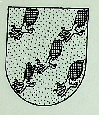 Osono Coat of Arms / Family Crest 0